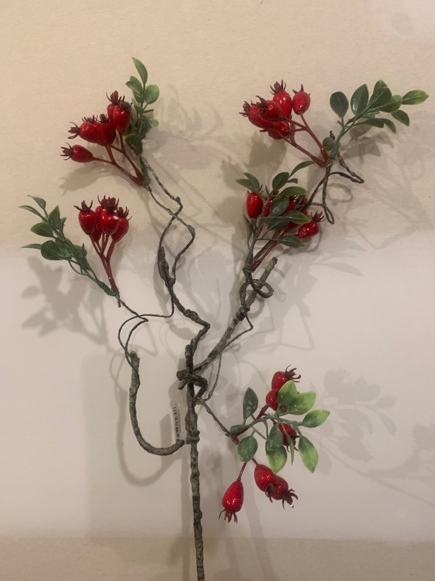22in Rose Hip Pick RED