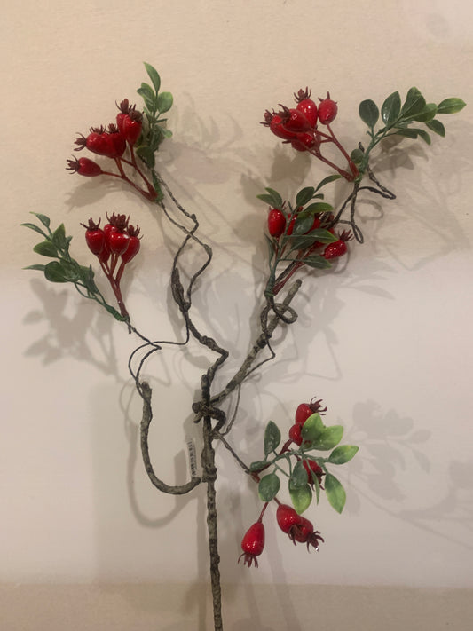 22in Rose Hip Pick RED