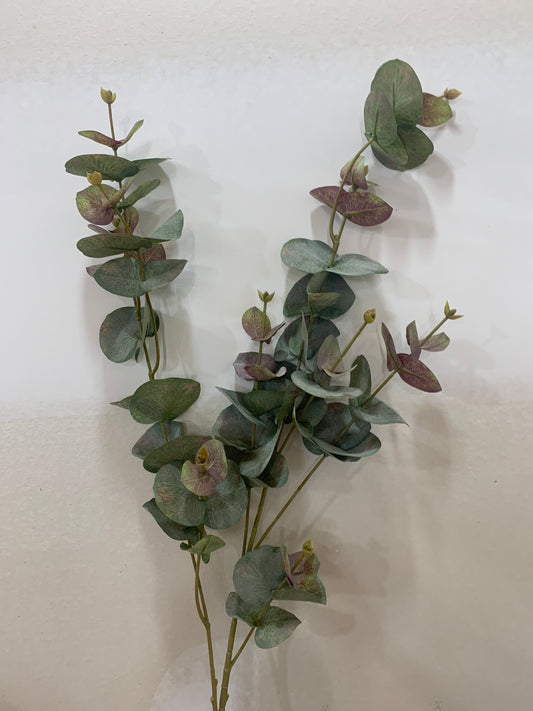 Tall Mauve / Green Eucalyptus