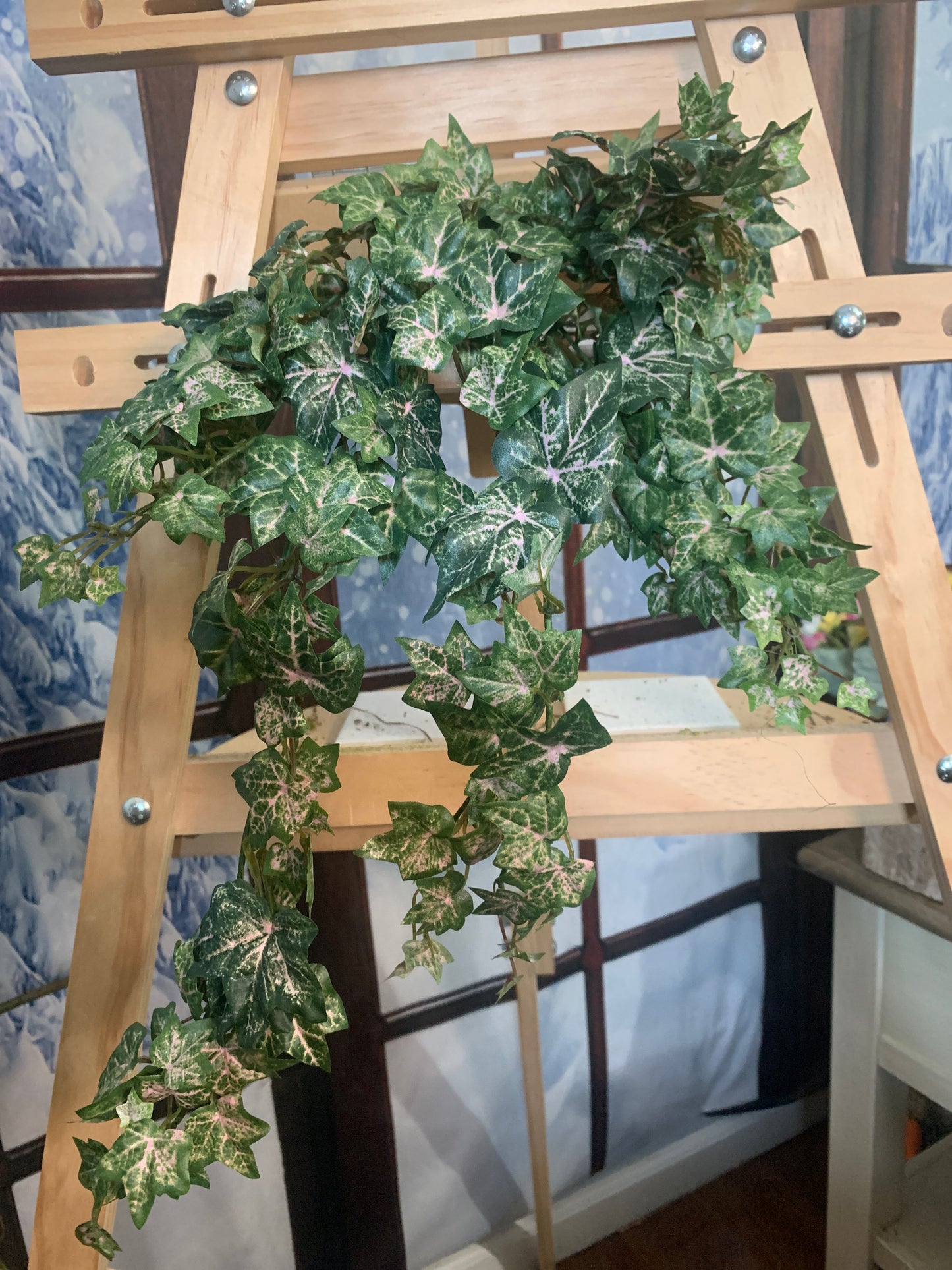 21in Hanging French Ivy GR/PI