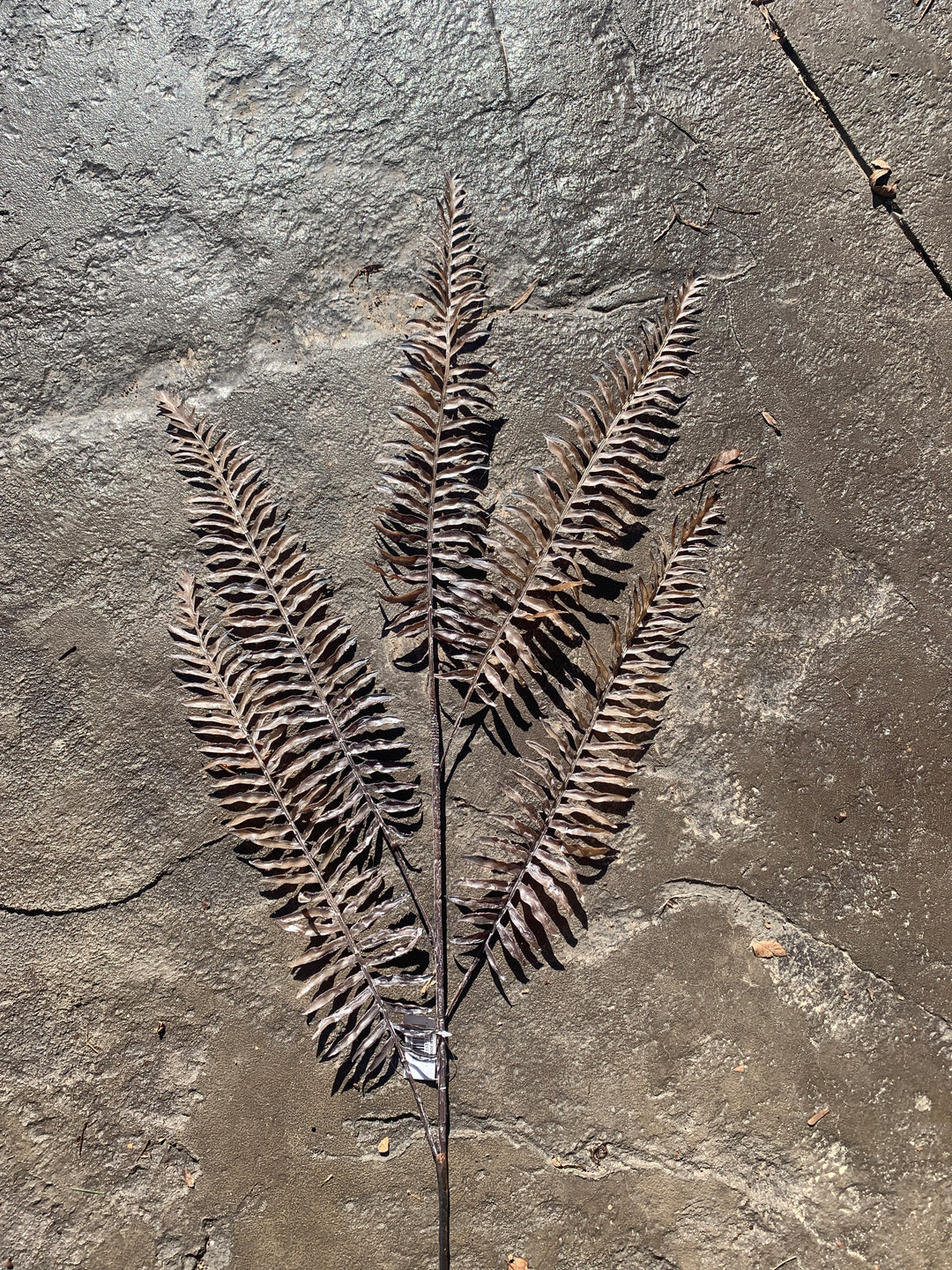39in Brown/Taupe Fern Frond Spray