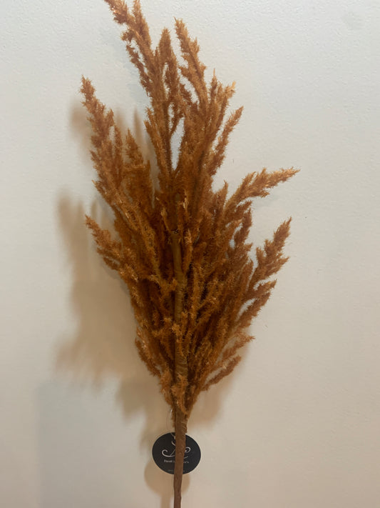 19in Canaan Sorghum Plume BROWN