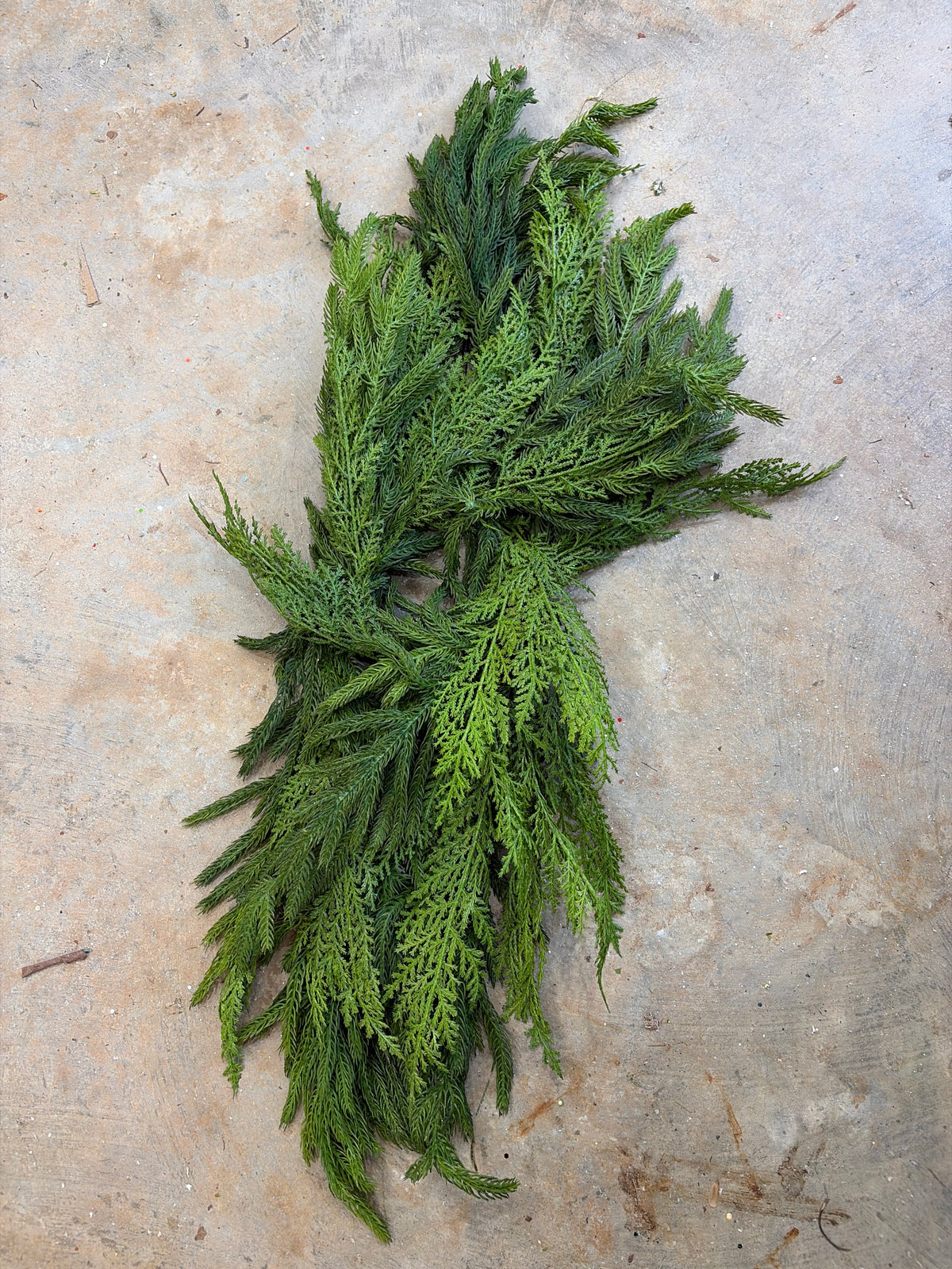 24in Real Touch Cedar/Norfolk Centerpiece Swag - Premium Base for Floral Designs and Home Decor Regency