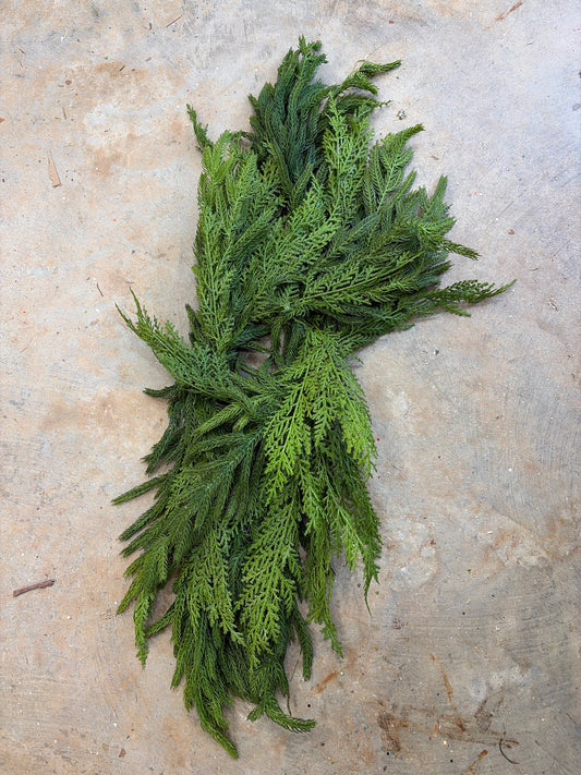 24in Real Touch Cedar/Norfolk Centerpiece Swag - Premium Base for Floral Designs and Home Decor Regency