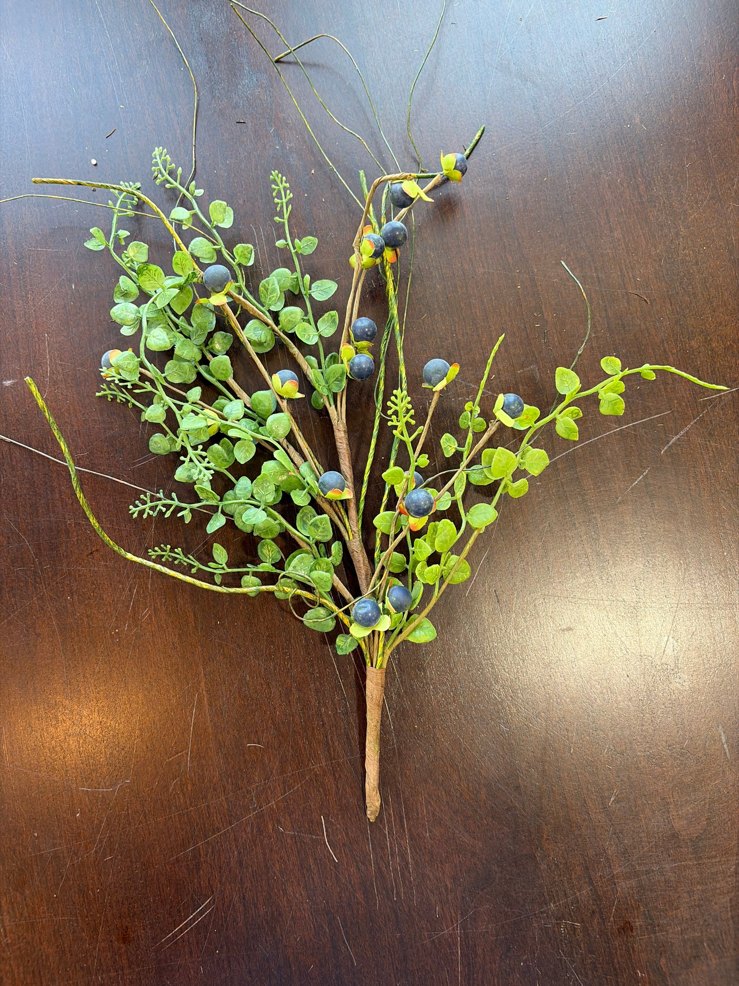 Blue Berries w/ Leaves & Twigs