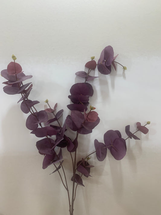 Tall Purple Eucalyptus