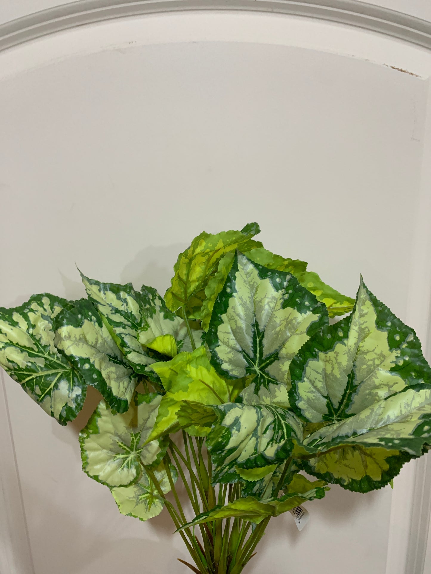 17in Begonia Leaf Bush x7