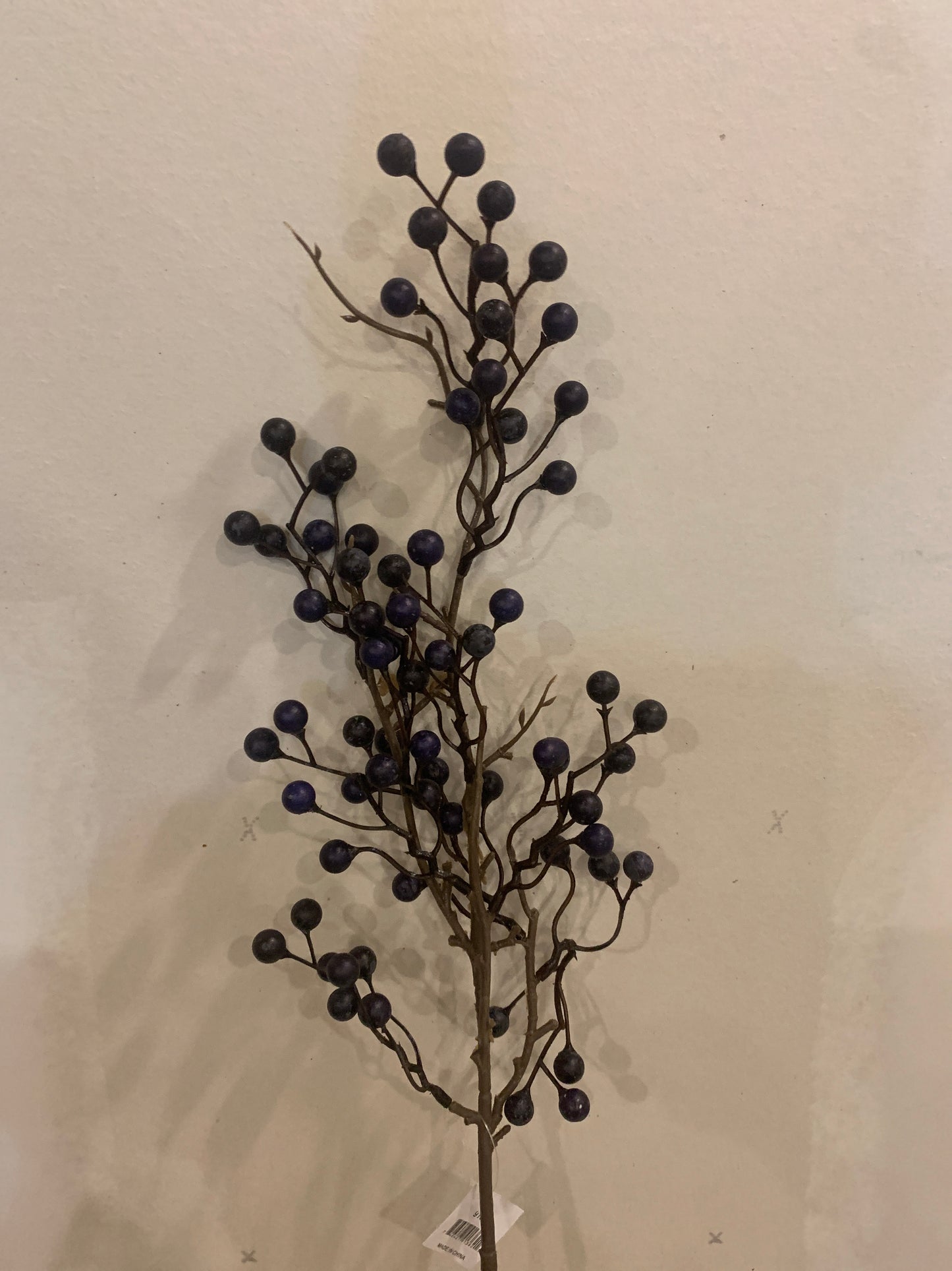 Blueberry Branch