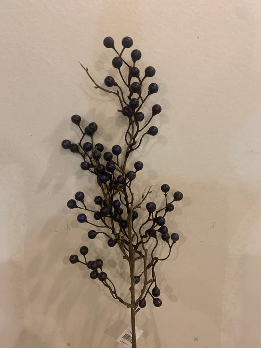 Blueberry Branch