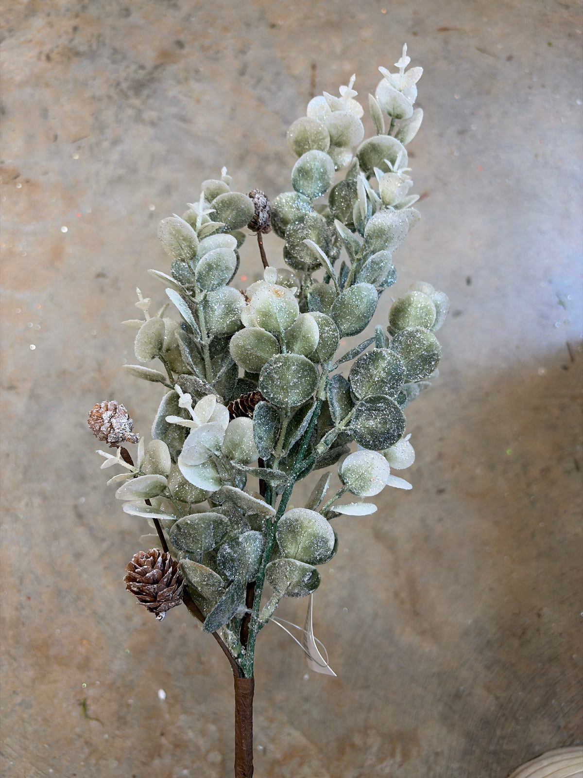 17in Sparkle Sage Eucalyptus & Birch Cones - Premium greenery for wreaths, arrangements and home decor Impressive