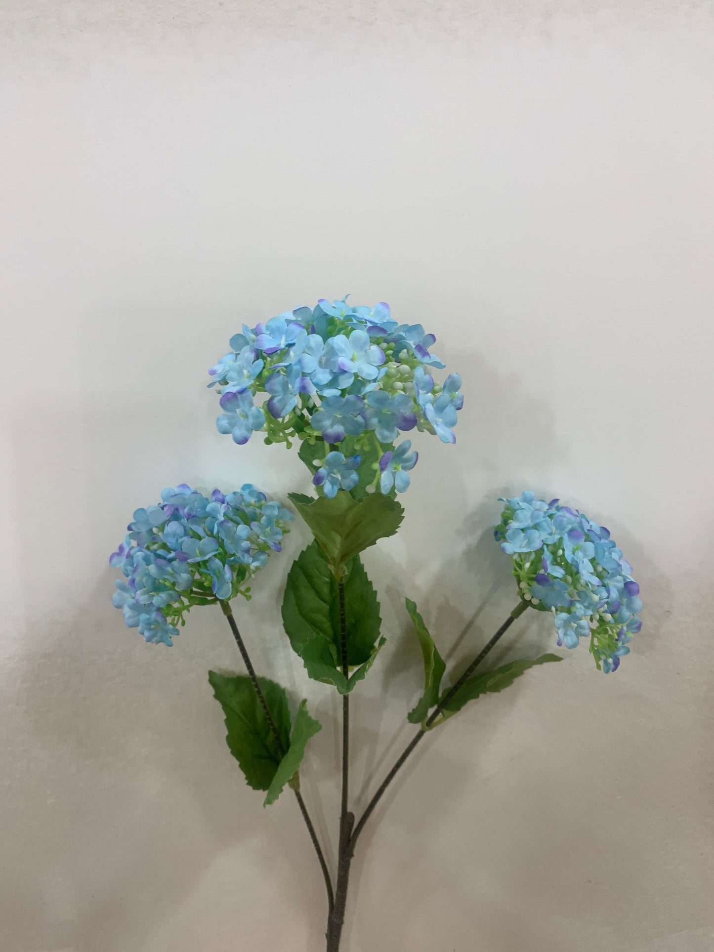 23in Blue Snowball Hydrangea x3 adb