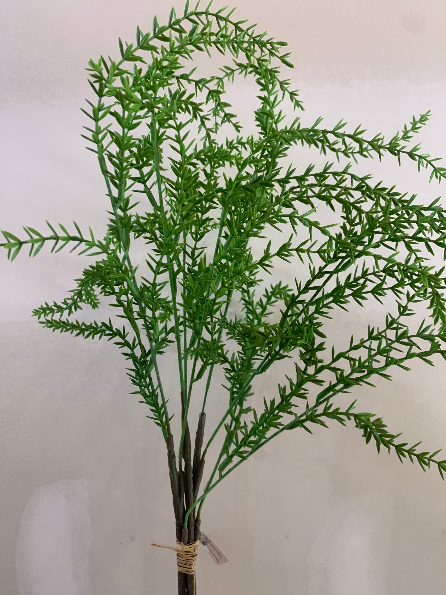 Weeping Pine Grass GREEN