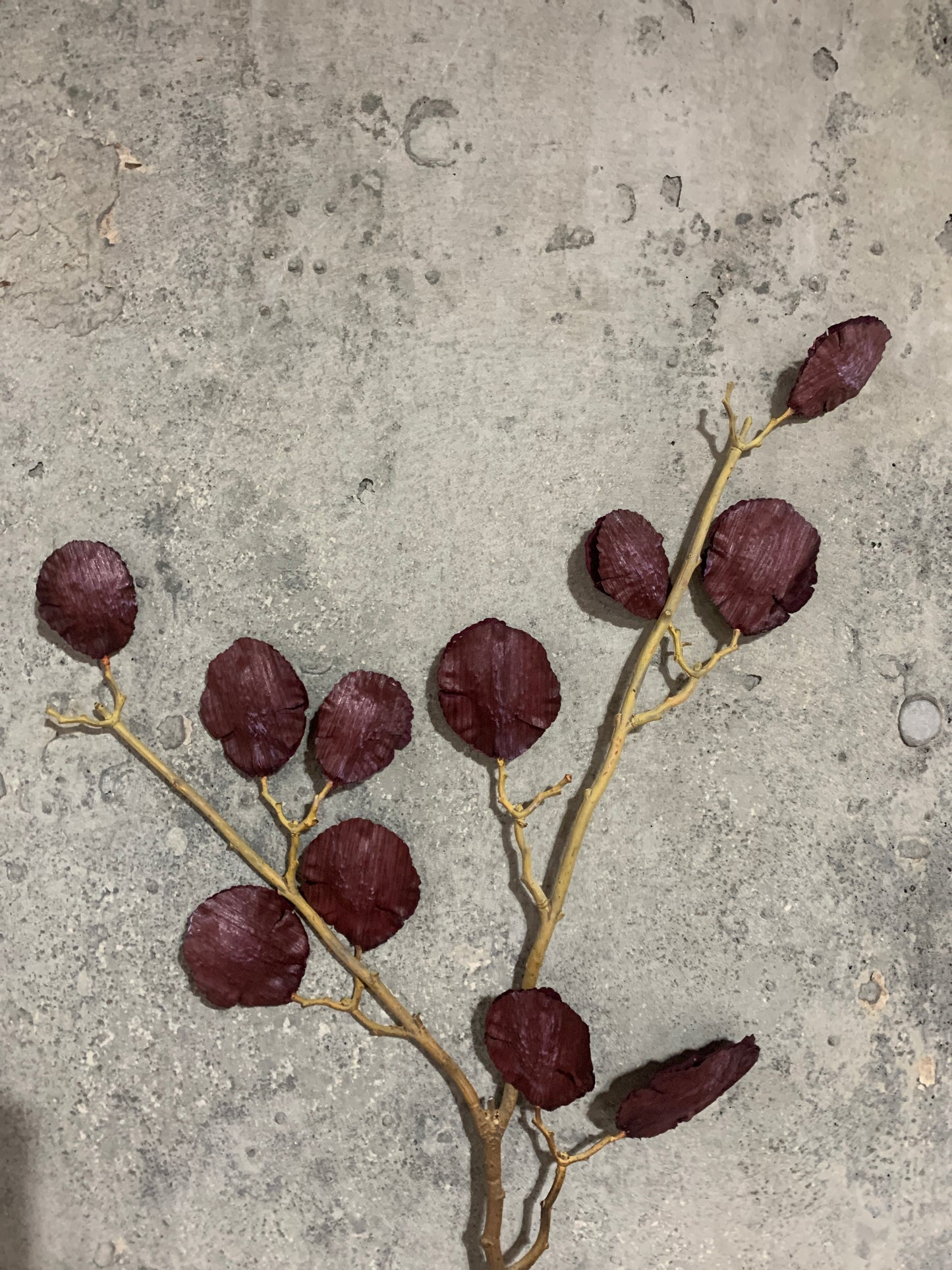 Flat Shell Nut Spray MAROON