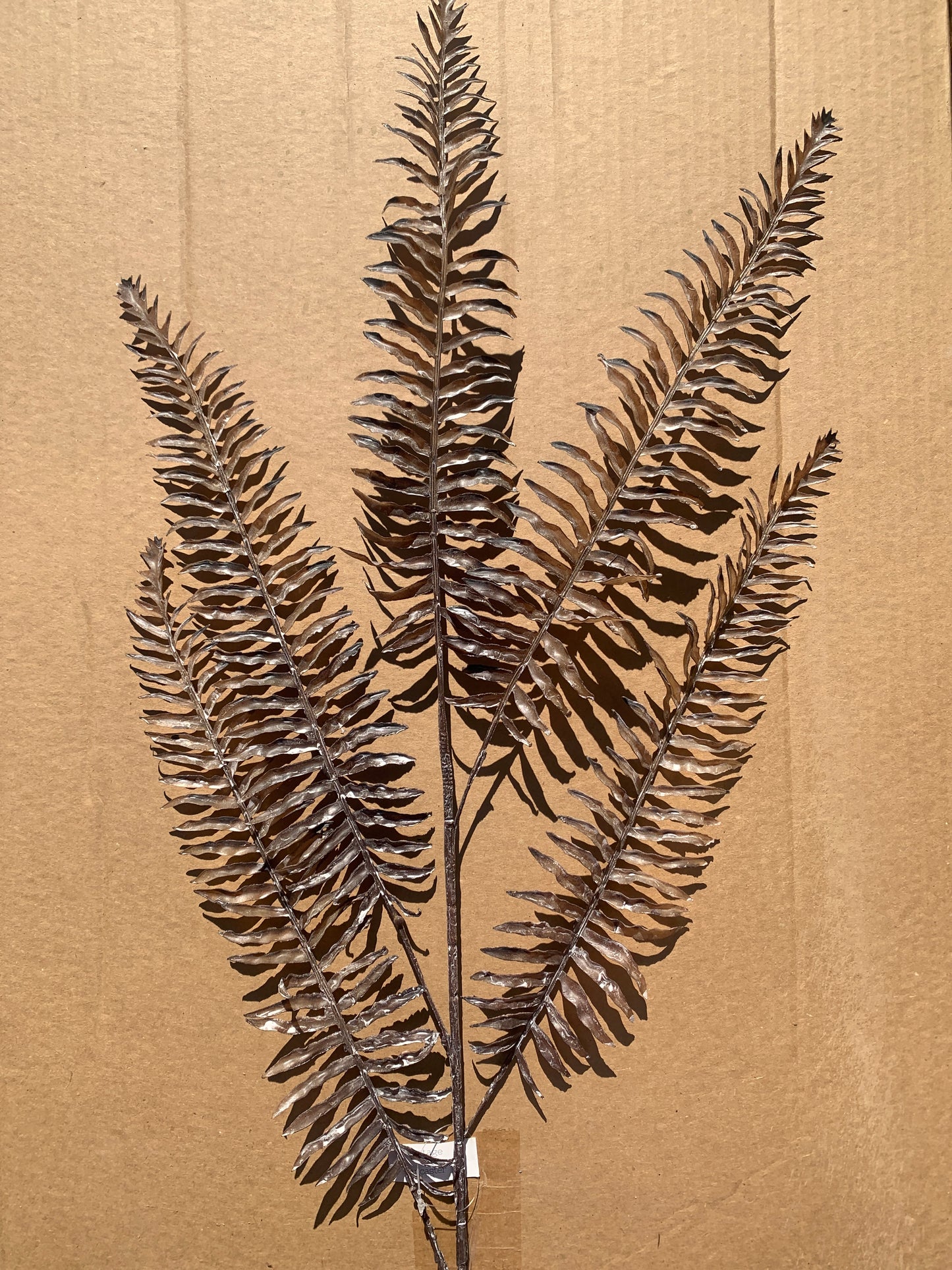 39in Brown/Taupe Fern Frond Spray aaa
