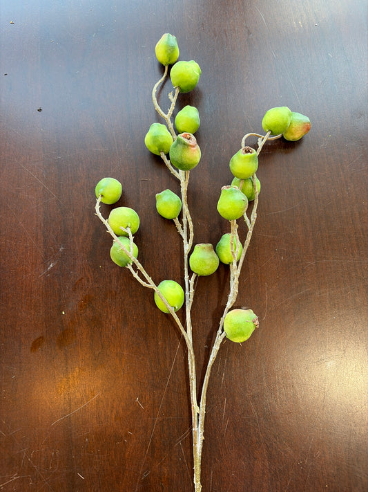 Green Eucalyptus Pod Spray