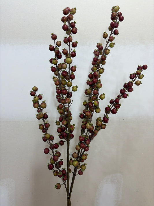 24in Outdoor Rose Berry Bush