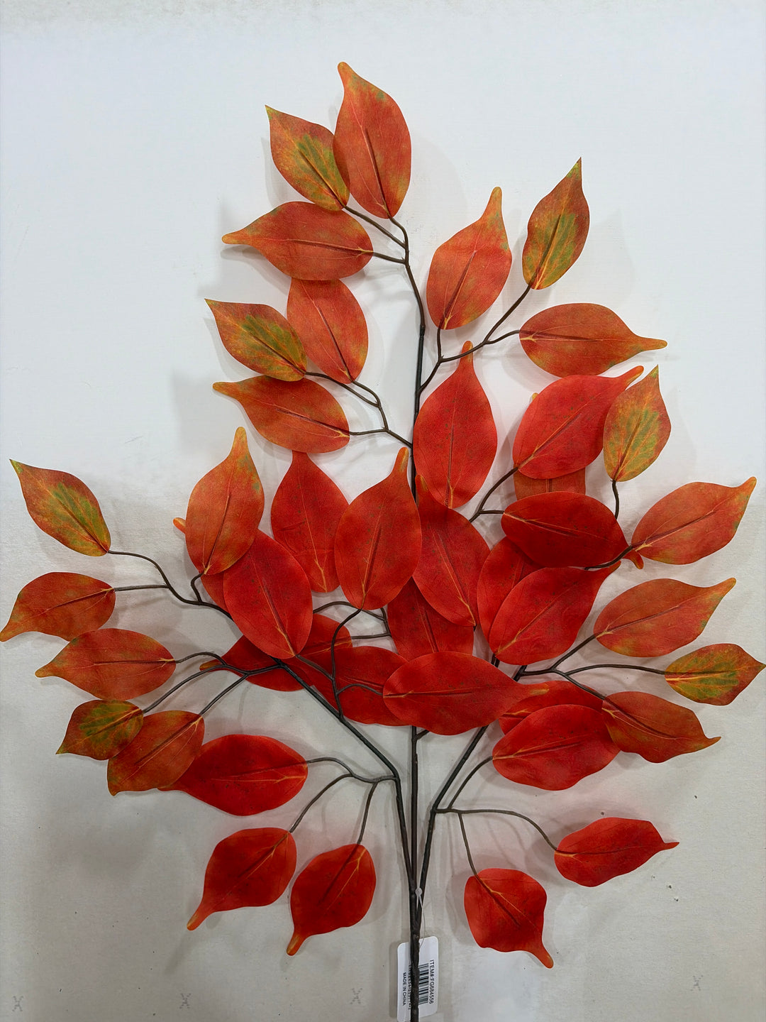 23in Flame Ficus Spray