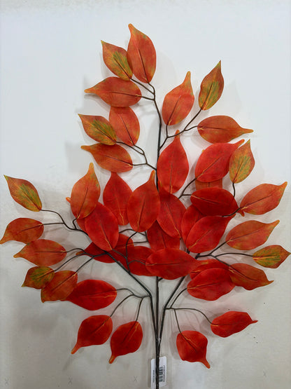 23in Flame Ficus Spray blx1