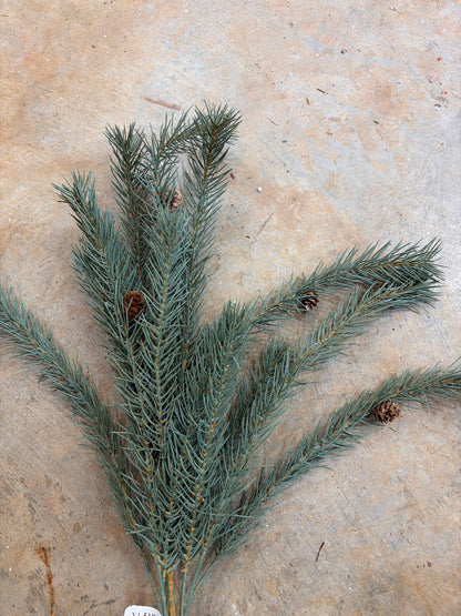 25in Blue Pine - Premium Greenery for Wreaths, Arrangements and Home Decor CRI
