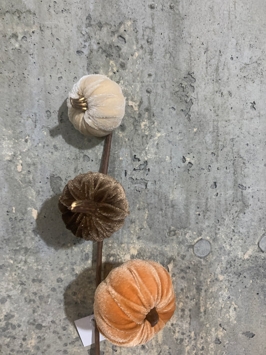 15in Velvet GoldStem Pumpkins MIXED