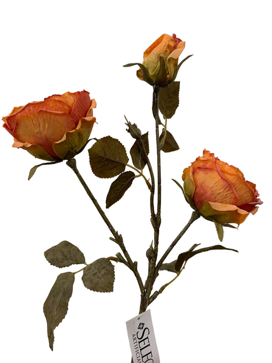 29in Pumpkin-color Rose - Premium Florals for Wreaths, Arrangements and Home Decor Craig Bachman