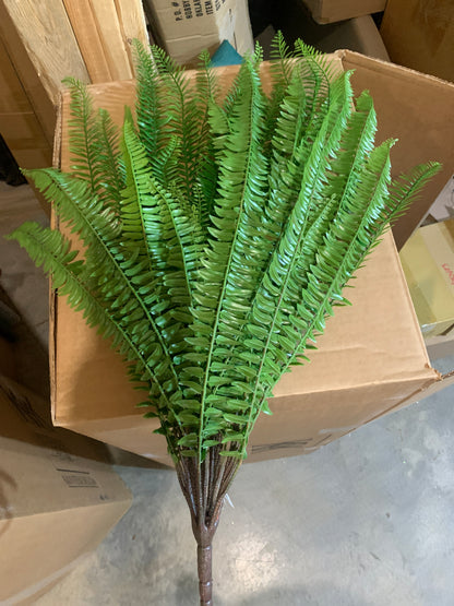 28in Draping Boston Fern