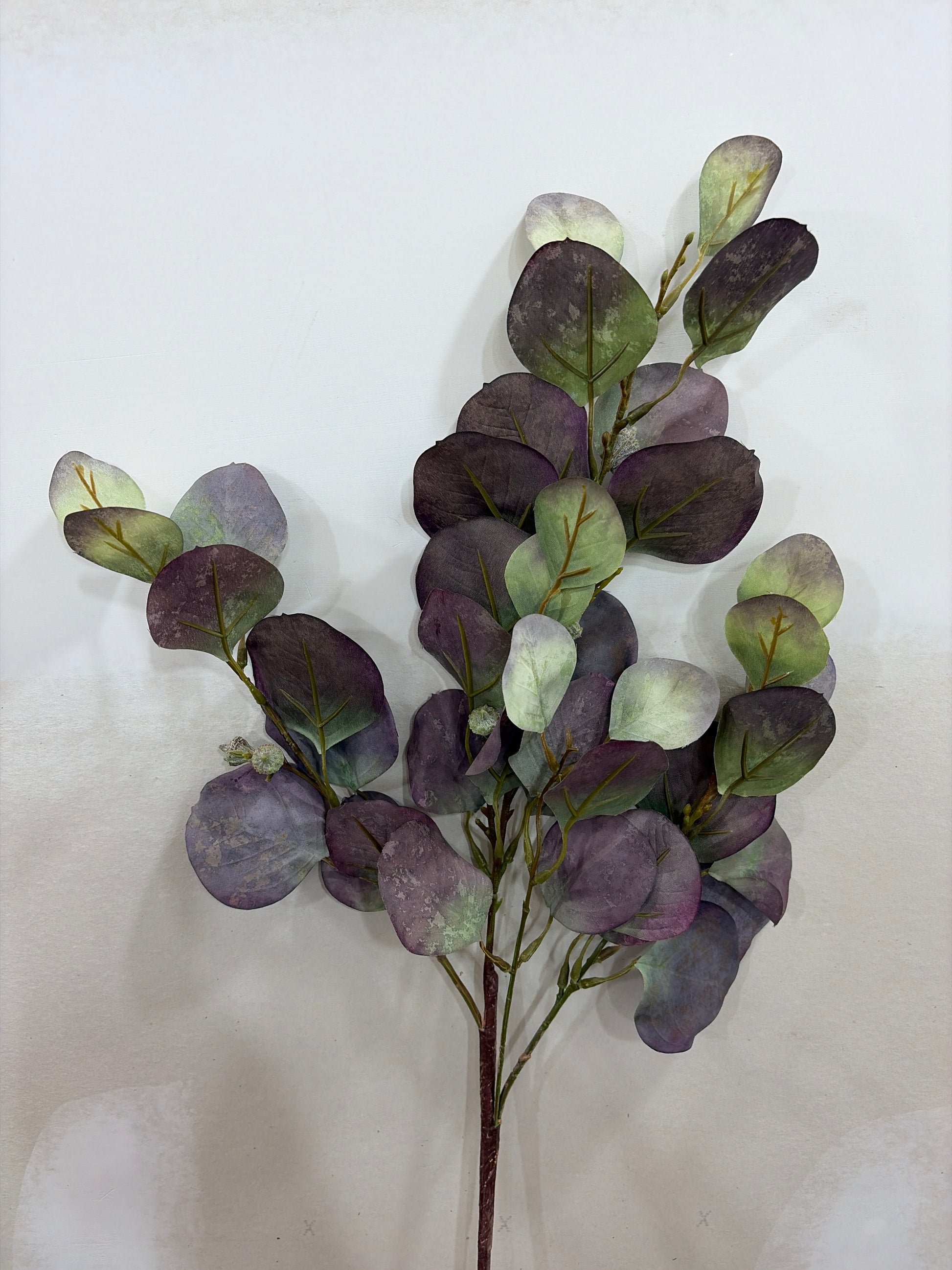 35in Plum Green Eucalyptus w/Pod LFI