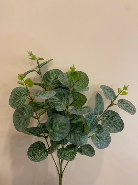 14in Eucalyptus x5 GREEN