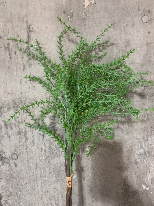 Weeping Pine Grass SAGE