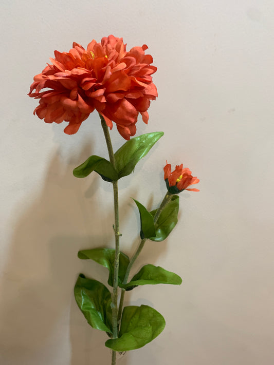 Zinnia Bloom ORANGE
