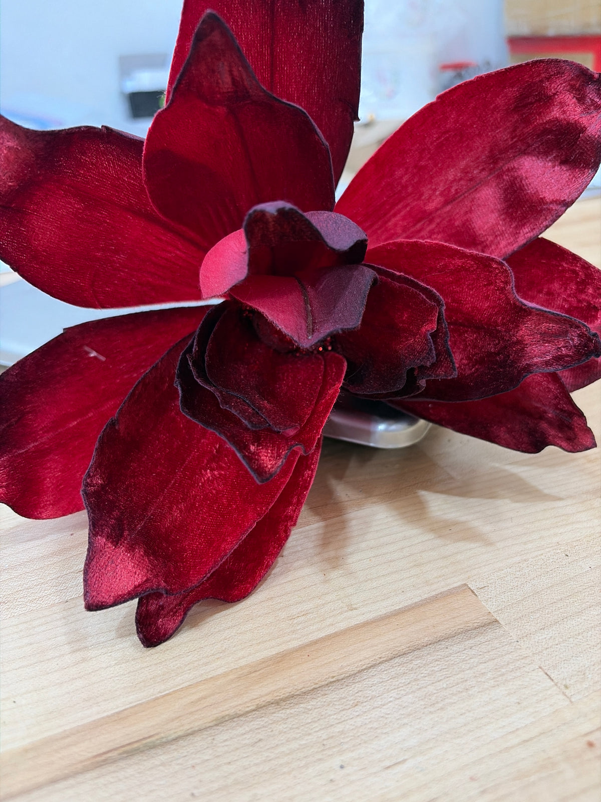 Cody's Poinsettia RED/BURG Brian Lane Designs