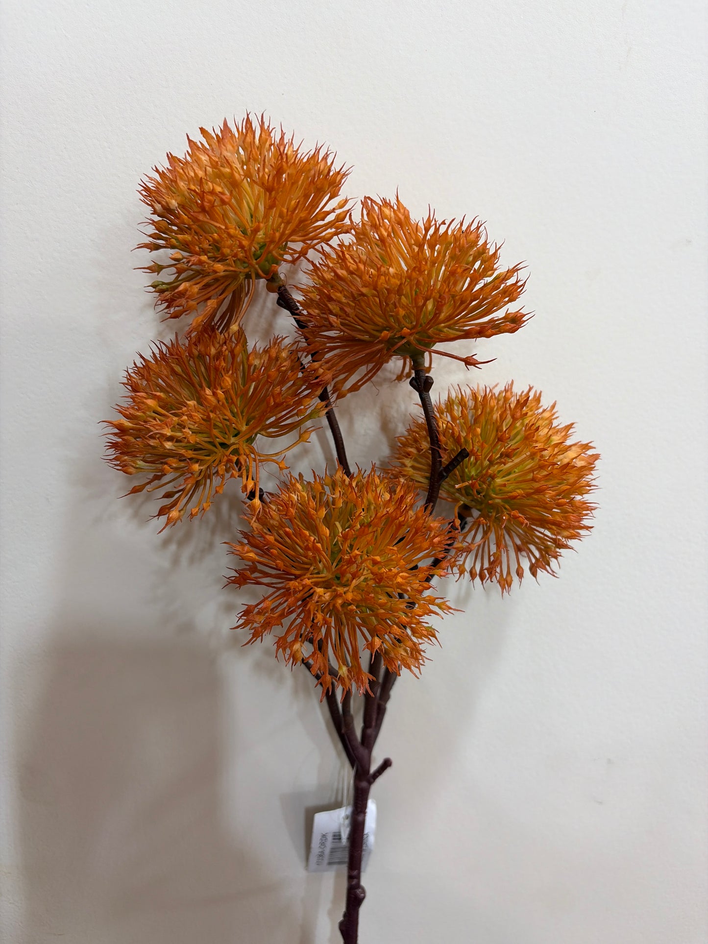 21in Dark Orange Ball Centaurea Thistle