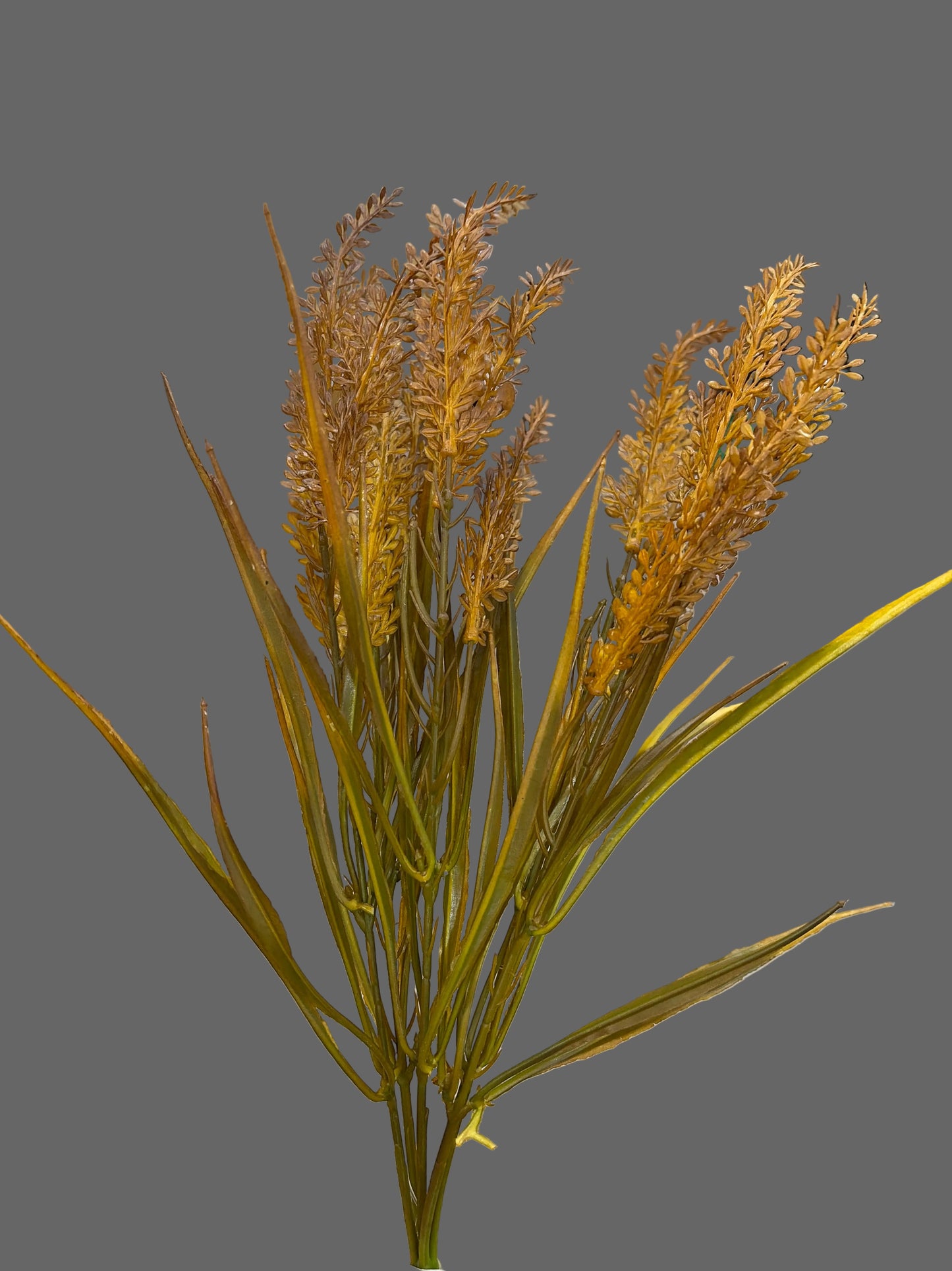 18in Brown Heather Seed Grass  - Premium Greenery for Wreaths, Arrangements and Home Decor Impressive