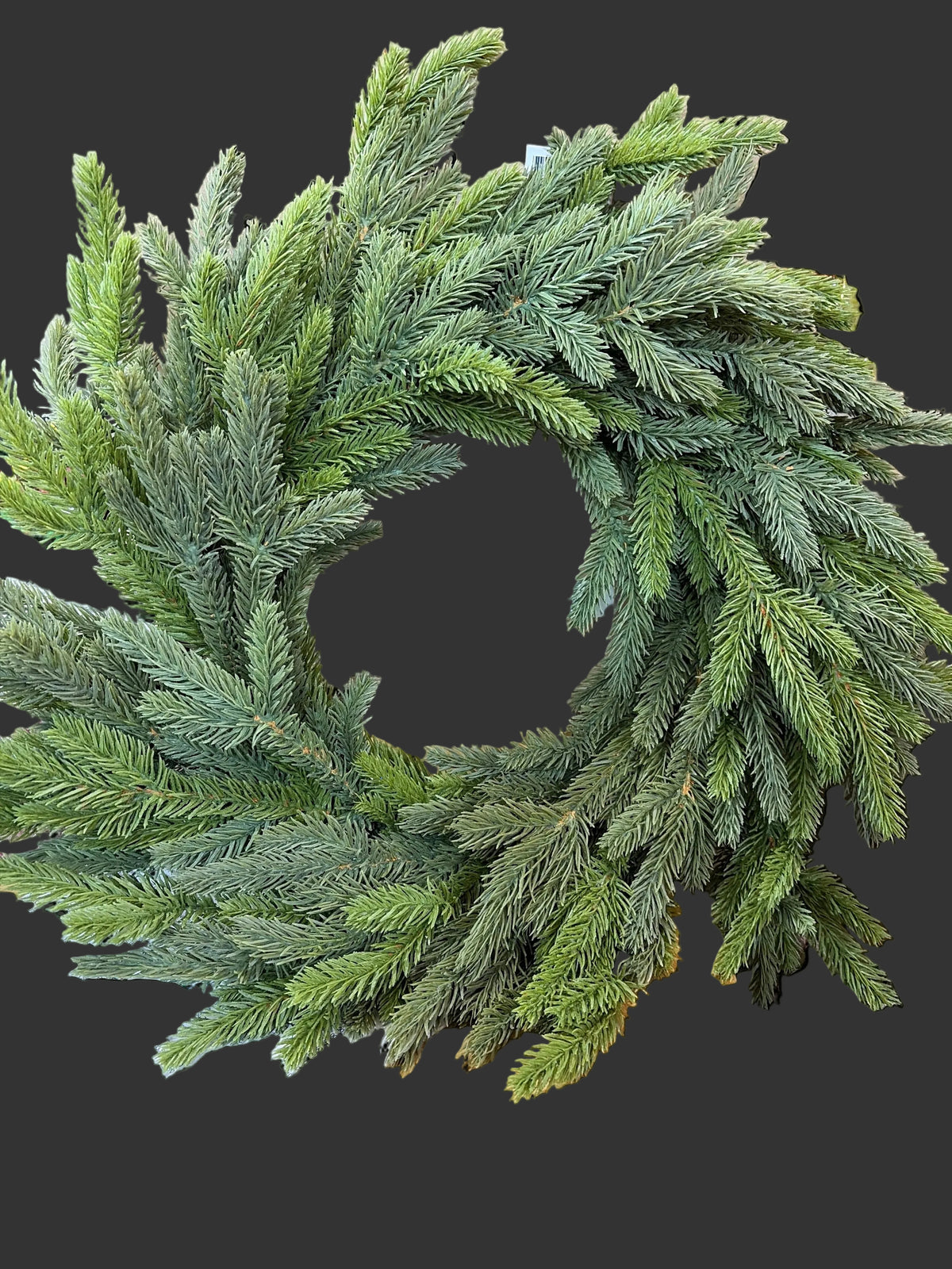 24in Real Touch Alpine  Wreath Frame - Premium Base for Wreaths CRI
