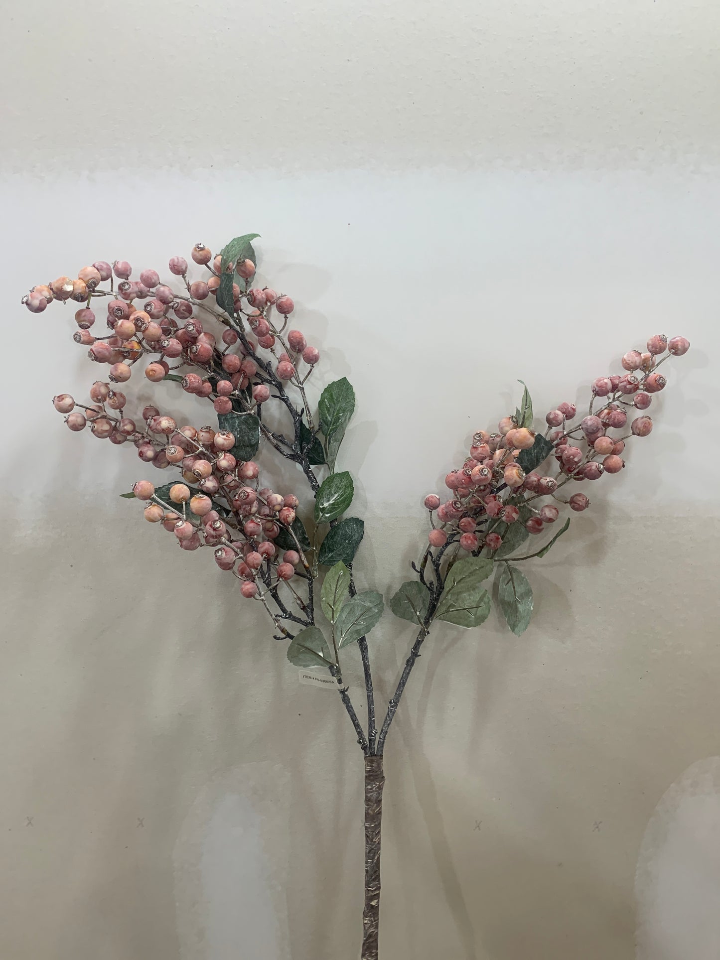 37in Outdoor Salmon Gooseberry Bush