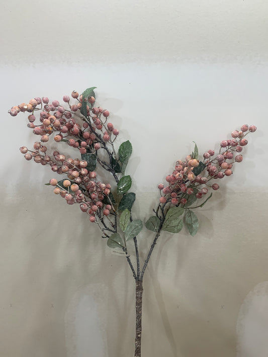 37in Outdoor Salmon Gooseberry Bush