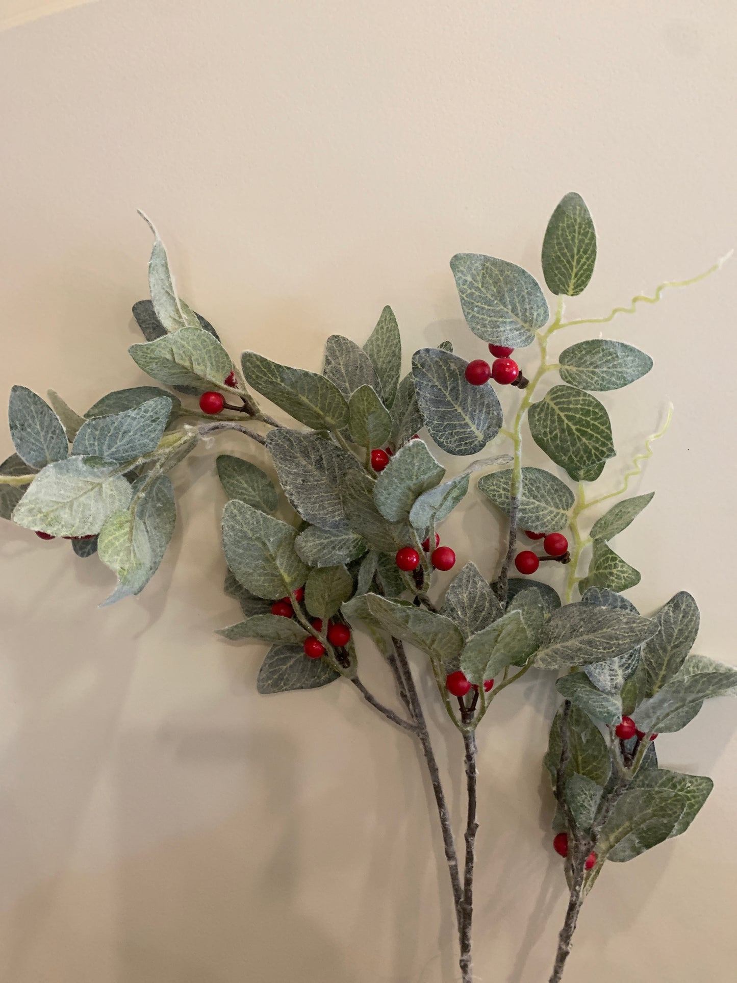 RED Berries on Mossy Green Leaves