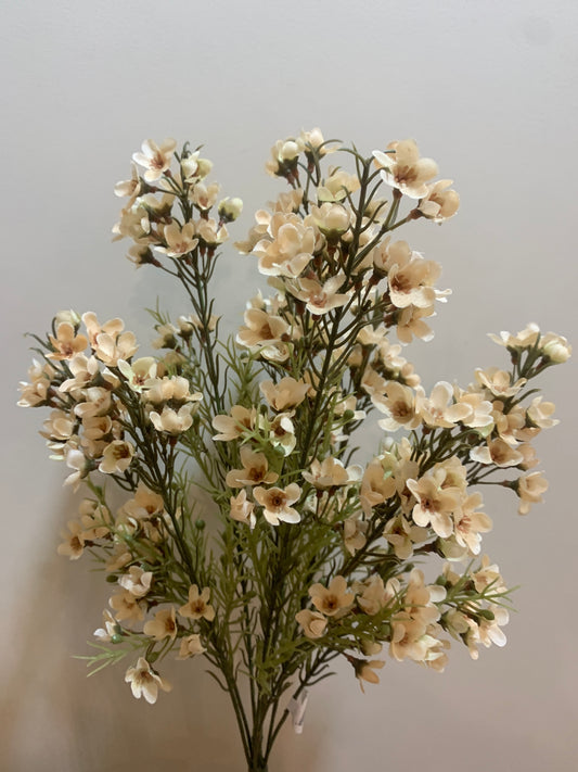 18in Waxflower CREAM