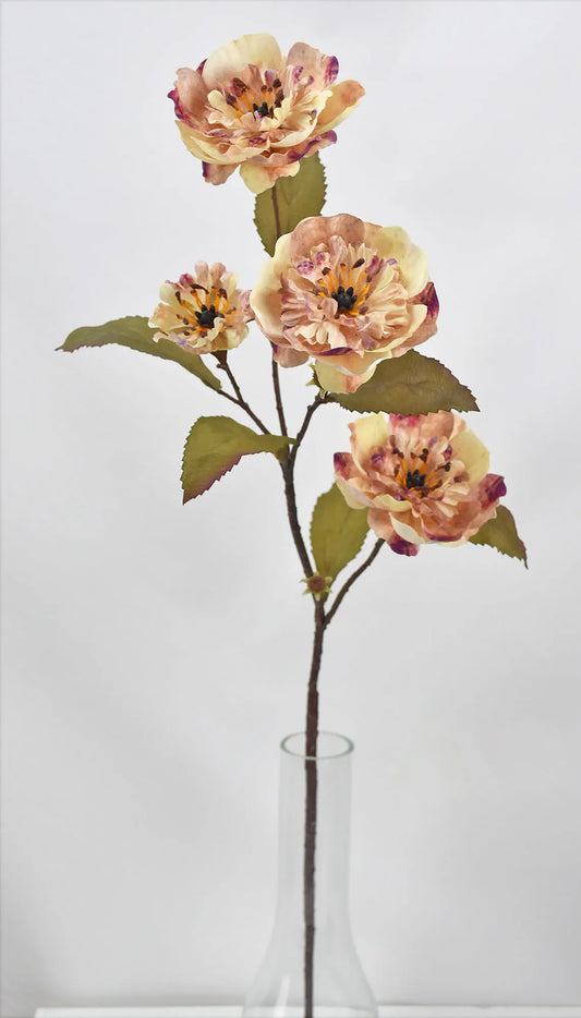 COMING SOON 25in Cream Mauve2.95 Ranunculus Spray - Premium Floral for Wreaths, Arrangements and Home Decor (Copy) (Copy) Fantastic Crafts