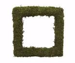 15in Square Moss on Metal Frame