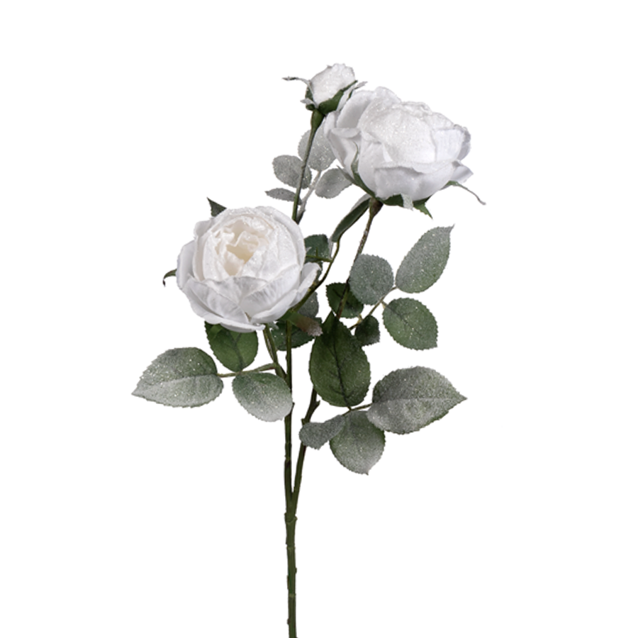 BOUQUET OF SIX 27in Cabbage Rose SNOW