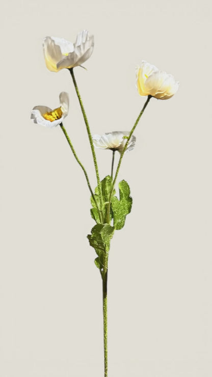 23in Champagne Poppy