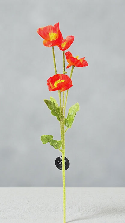 23in Orange Poppy