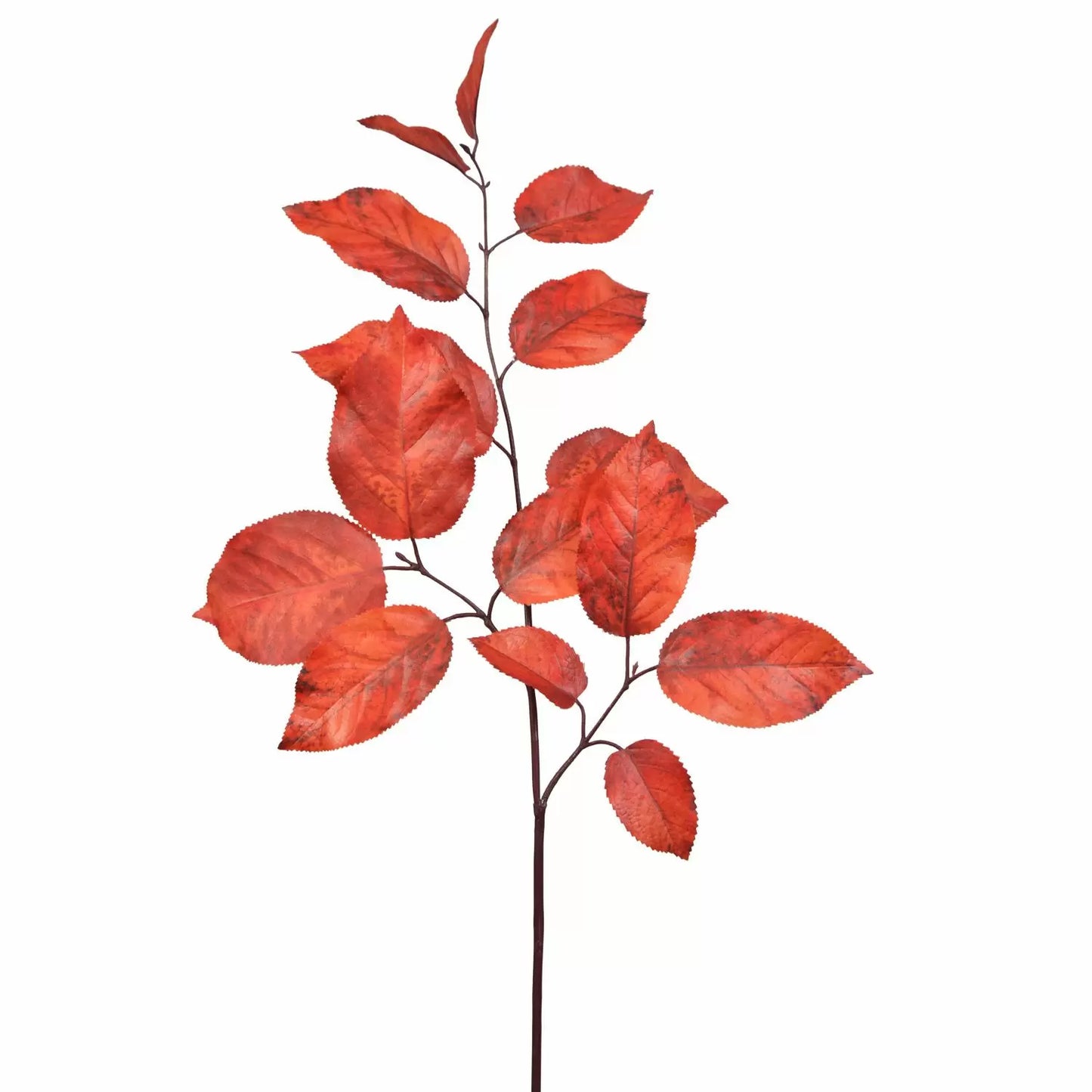 29in Flame Salal Leaf