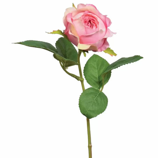 14in Premium Rose Bud Stem PINK/CREAM