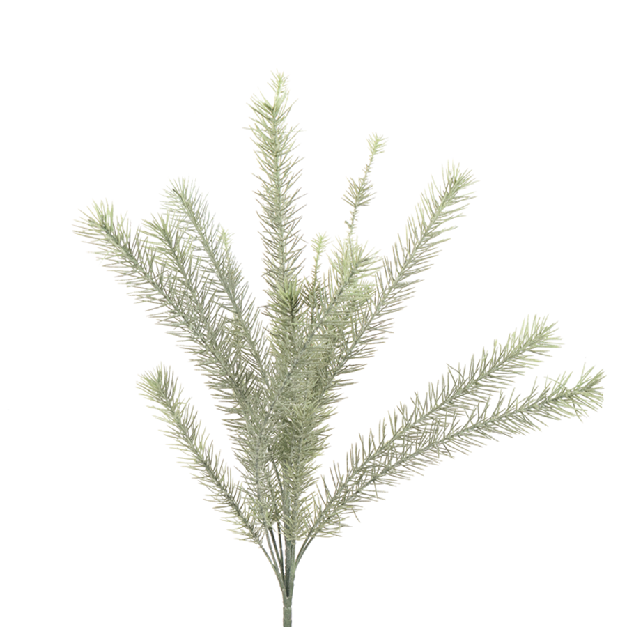 Glittered Colorado Spruce CRI