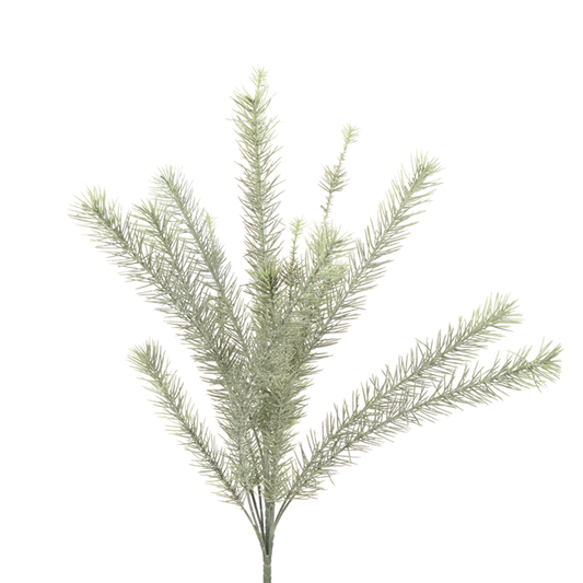 Glittered Colorado Spruce CRI