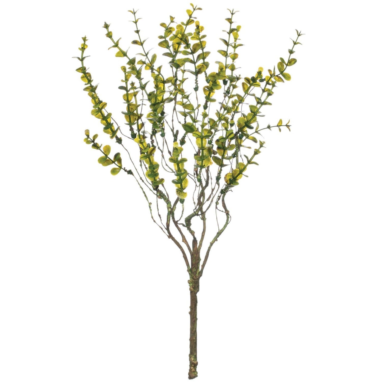 17in Twiggy Leaf Bush