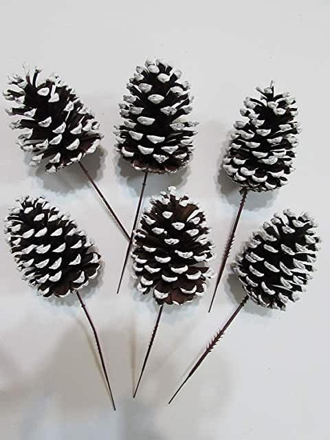 Snowy Pine Cone - single