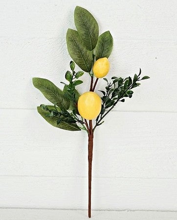 16in Avalon Lemon Boxwood